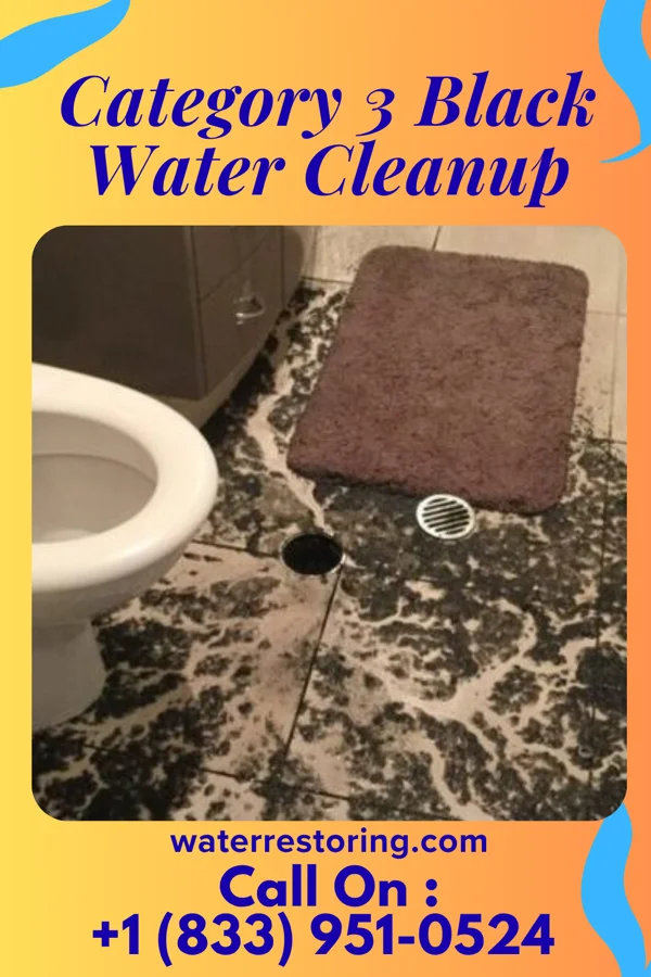 Category 3 Black Water Cleanup in Van Meter, IA